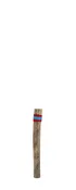 15″ Cactus Rain Stick