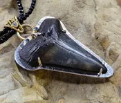 Fossilized Shark Tooth Pendant