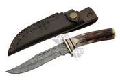 10.25" EL DORADO HUNTER + DM-1043