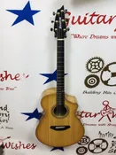 Breedlove Organic collection Artista Concert
