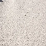 Mason Sand