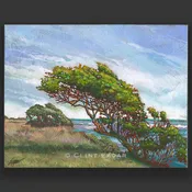 Emerald Coast Landscape Art You'll love in 2020 | Clint Eagar Design