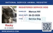 Replacement ID Cards