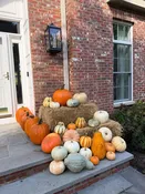 Harvest Entry — The Barn