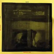 51717 - Paranoia Star - 12" - LIES 119