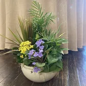 Ceramic Dish Garden 12"