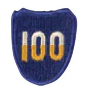 100th Infantry Div