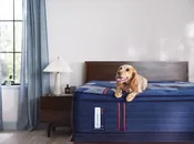 Sealy Posturepedic Elite Brenham II Firm Euro Pillow Top Mattress