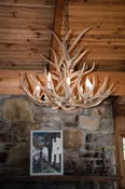 8 Light Reagan Tall Mule Deer Antler Chandelier