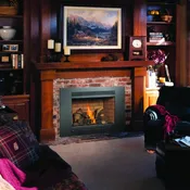 33 DVI Gas Fireplace Insert by Lopi Stoves