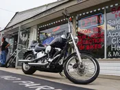2009 HARLEY DAVIDSON SOFTAIL CUSTOM FXSTC