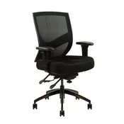 Advanced Ergonomic Chair
