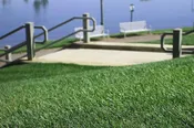 Regenerate Water Wise Sod Tall Fescue