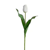 18" Tulip Stem