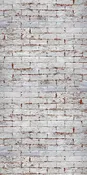 Brick Wall Peeling White Paint (Sample)