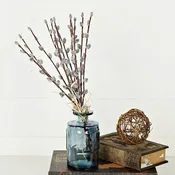 550138-Pussy Willow Bush-17in Bundle