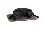 ProEdge Orthopedic Cushion