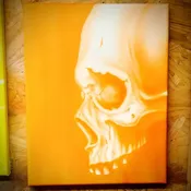 The Rainbow Skull Series