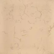 Coarse Botticino