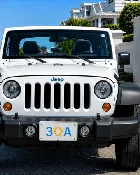 30A Auto License Plate