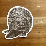 Beaver STICKER — lynn-oleum