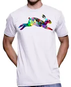 Geometric Rabbit