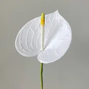 ANTHURIUM CREPE PAPER FLOWER — PAPERCRAFT MIRACLES LLC