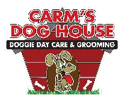 Daycare - 1/2 day — Carm's Doghouse