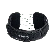 Ascend® SI 621