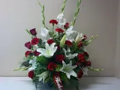 Display of Loving Grace
