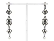 2897 WHITE  R1-39 WESTERN CLUSTER DANGLE ER