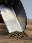 Anise Seed