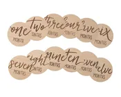 Baby Wooden Monthly Milestone Photo Props Discs