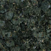 BUTTERFLY GREEN