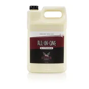 All In One Polish & Wax - Gallon