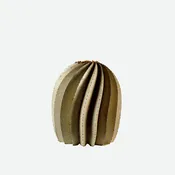 Fishhook Barrel Cactus