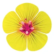 5 Petal Flower Metal Wall Art