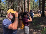 August Wild Bird Walk