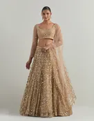 Beige Hand Embroidered Lehenga Set