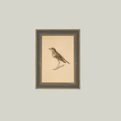 Bird Framed Gray Brown Framed Art