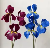 Bearded Iris Crepe Paper Flower Centerpiece Arrangement & Decoration for Sale Buffalo — PAPERCRAFT MIRACLES LLC