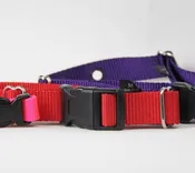 Pet Stop Brand Dog Collars