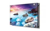Acrylic Print