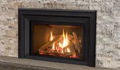 Enviro EX32 Gas Insert