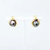 Black Tahitian Pearl Earrings