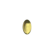 Algae DHA