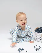 Blueberry Zipper Footie