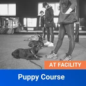 Puppy Course
