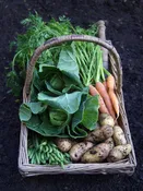 Mixed Basket