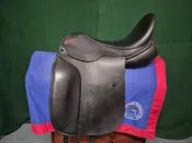 Duett Fidelio — Middleburg Tack Exchange